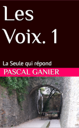Couverture de la nouvelle La Seule qui répond
