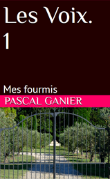 Couverture de la nouvelle Mes fourmis